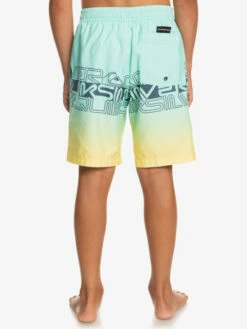 Quiksilver Everyday Wordblock 16" - Short De Bain Pour Garçon 8-16 Ans -Pas Cher Quiksilver Magasin eqbjv03434 quiksilverw gcz6 bck1