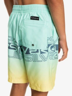 Quiksilver Everyday Wordblock 16" - Short De Bain Pour Garçon 8-16 Ans -Pas Cher Quiksilver Magasin eqbjv03434 quiksilverw gcz6 bck2