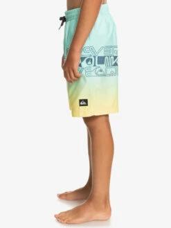 Quiksilver Everyday Wordblock 16" - Short De Bain Pour Garçon 8-16 Ans -Pas Cher Quiksilver Magasin eqbjv03434 quiksilverw gcz6 frt2