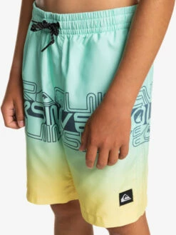 Quiksilver Everyday Wordblock 16" - Short De Bain Pour Garçon 8-16 Ans -Pas Cher Quiksilver Magasin eqbjv03434 quiksilverw gcz6 frt3