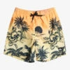 Quiksilver Everyday Paradise 14" - Short De Bain Pour Garçon 8-16 Ans -Pas Cher Quiksilver Magasin eqbjv03438 quiksilverf mhv6 frt1