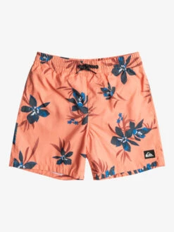 Quiksilver Everyday Mix 14" - Short De Bain Pour Garçon 8-16 Ans