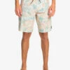 Quiksilver Surfsilk QS 69 19" - Boardshort Pour Homme