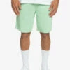 Quiksilver Bayrise - Short En Molleton Pour Homme