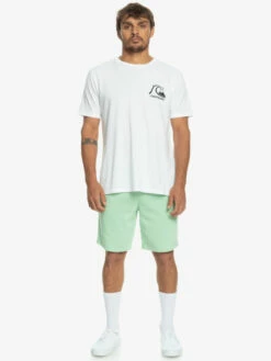 Quiksilver Bayrise - Short En Molleton Pour Homme -Pas Cher Quiksilver Magasin eqyfb03322 quiksilverw gfe0 frt9
