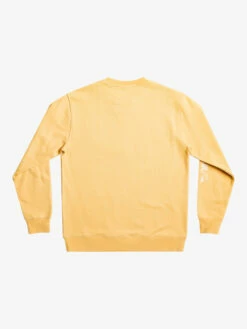 Quiksilver The Original - Sweat Pour Homme -Pas Cher Quiksilver Magasin eqyft04738 quiksilverf ygy0 bck1