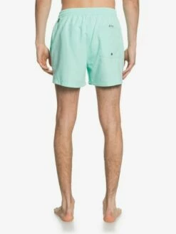 Quiksilver Everyday 15" - Short De Bain Pour Homme -Pas Cher Quiksilver Magasin eqyjv03531 everydayvolley15w gcz0 bck1