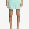 Quiksilver Everyday 15" - Short De Bain Pour Homme 2 Quiksilver Everyday 15" - Short De Bain Pour Homme -Pas Cher Quiksilver Magasin eqyjv03531 everydayvolley15w gcz0 frt1