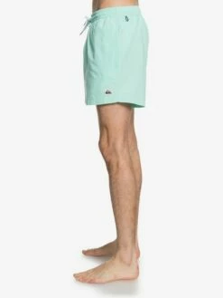 Quiksilver Everyday 15" - Short De Bain Pour Homme -Pas Cher Quiksilver Magasin eqyjv03531 everydayvolley15w gcz0 frt2
