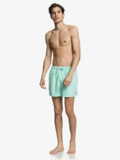 Quiksilver Everyday 15" - Short De Bain Pour Homme -Pas Cher Quiksilver Magasin eqyjv03531 everydayvolley15w gcz0 frt9
