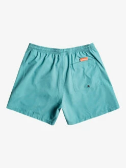 Quiksilver Everyday 15" - Short De Bain Pour Homme -Pas Cher Quiksilver Magasin eqyjv03531 quiksilverf blz0 bck1