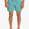 Quiksilver Everyday 15" - Short De Bain Pour Homme