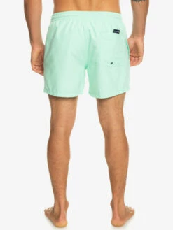 Quiksilver Everyday 15" - Short De Bain Pour Homme -Pas Cher Quiksilver Magasin eqyjv03531 quiksilverw gcz0 bck1