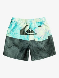 Quiksilver Butt Logo 17" - Short De Bain Pour Homme -Pas Cher Quiksilver Magasin eqyjv03994 quiksilverf kvj6 bck1