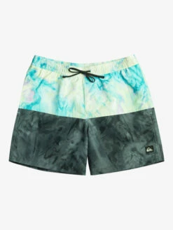 Quiksilver Butt Logo 17" - Short De Bain Pour Homme -Pas Cher Quiksilver Magasin eqyjv03994 quiksilverf kvj6 frt1