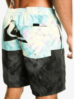 Quiksilver Butt Logo 17" - Short De Bain Pour Homme -Pas Cher Quiksilver Magasin eqyjv03994 quiksilverw kvj6 bck2