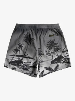 Quiksilver Everyday Paradise 15" - Short De Bain Pour Homme -Pas Cher Quiksilver Magasin eqyjv03999 quiksilverf kvj6 bck1