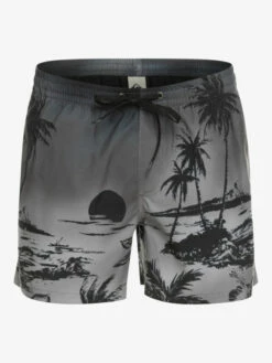 Quiksilver Everyday Paradise 15" - Short De Bain Pour Homme -Pas Cher Quiksilver Magasin eqyjv03999 quiksilverv kvj6 frt1
