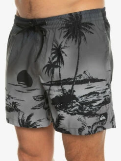 Quiksilver Everyday Paradise 15" - Short De Bain Pour Homme -Pas Cher Quiksilver Magasin eqyjv03999 quiksilverw kvj6 frt3