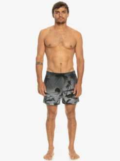 Quiksilver Everyday Paradise 15" - Short De Bain Pour Homme -Pas Cher Quiksilver Magasin eqyjv03999 quiksilverw kvj6 frt9