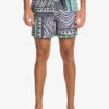 Quiksilver Surfsilk Mix 15" - Short De Bain Pour Homme 1 Quiksilver Surfsilk Mix 15" - Short De Bain Pour Homme -Pas Cher Quiksilver Magasin eqyjv04007 quiksilverw bsl6 frt1