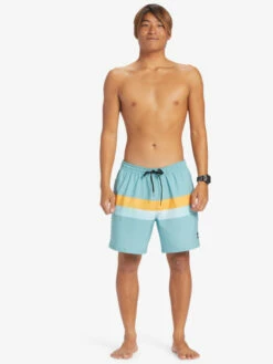 Quiksilver Surfsilk Air-Brush 17" - Short De Bain Pour Homme -Pas Cher Quiksilver Magasin eqyjv04011 quiksilverw bje7 frt9
