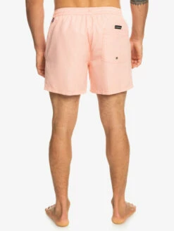 Quiksilver Everyday Deluxe 15" - Short De Bain Pour Homme -Pas Cher Quiksilver Magasin eqyjv04019 quiksilverw mhv0 bck1