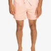 Quiksilver Everyday Deluxe 15" - Short De Bain Pour Homme -Pas Cher Quiksilver Magasin eqyjv04019 quiksilverw mhv0 frt1