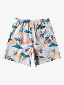 Quiksilver Everyday Mix 17" - Short De Bain Pour Homme 17 Quiksilver Everyday Mix 17" - Short De Bain Pour Homme -Pas Cher Quiksilver Magasin eqyjv04022 quiksilverf wdw7 bck1