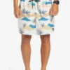 Quiksilver Everyday Mix 17" - Short De Bain Pour Homme -Pas Cher Quiksilver Magasin eqyjv04022 quiksilverw wdw7 frt1