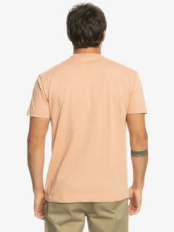 Quiksilver Essentials - T-shirt En Matière Biologique Pour Homme -Pas Cher Quiksilver Magasin eqykt04092 quiksilverw tjb0 bck1