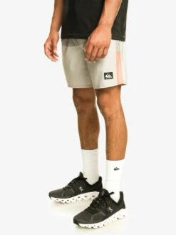 Quiksilver Omni Stretch 17" - Short De Sport Pour Homme -Pas Cher Quiksilver Magasin eqyws03835 quiksilverw sfv6 frt2